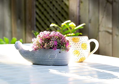 Circle Ball Mug