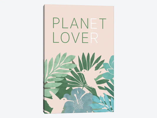 Planet Lover Framed Canvas